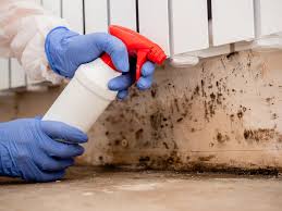 Nappanee, IN Mold Removal Services Company